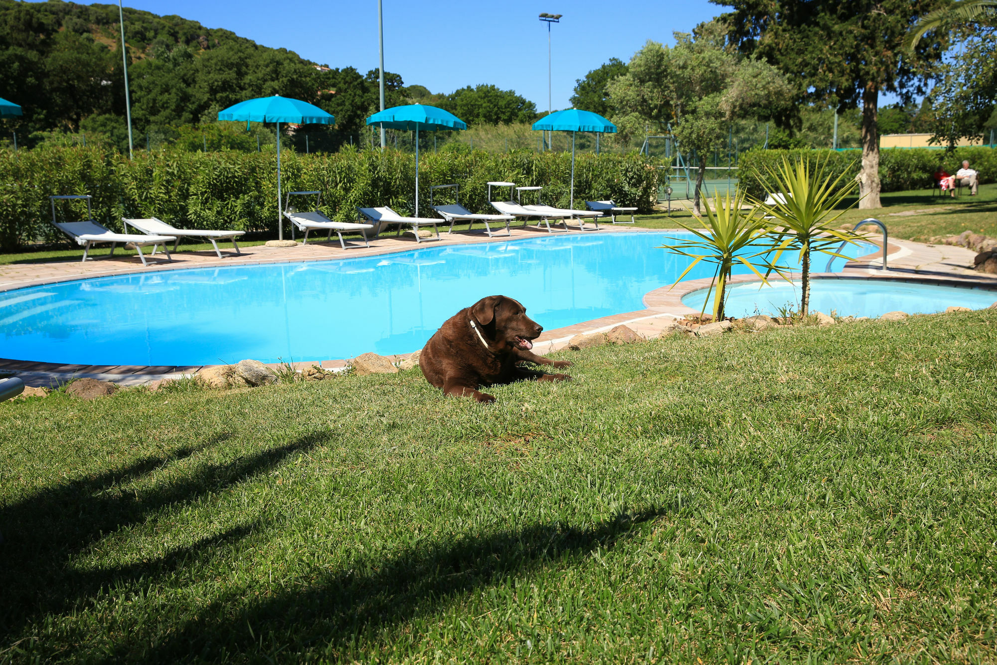 Alghero Resort Country Hotel & Spa Eksteriør bilde